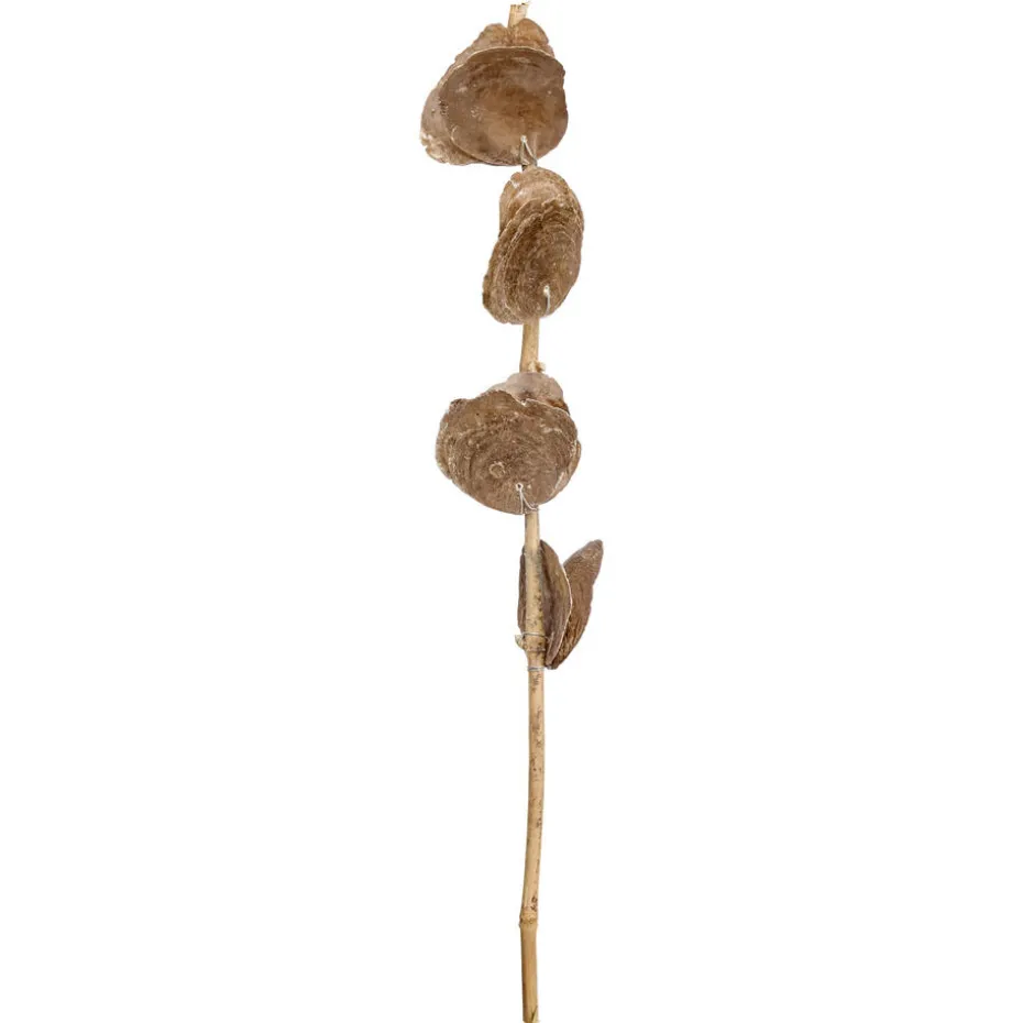 Kunsttak Capiz Taupe