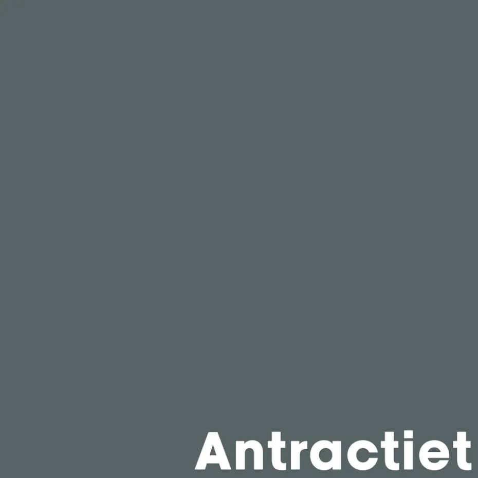 Muurverf Mat Antraciet 2.5 L