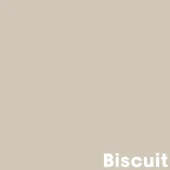 Muurverf Professional Biscuit 1 L