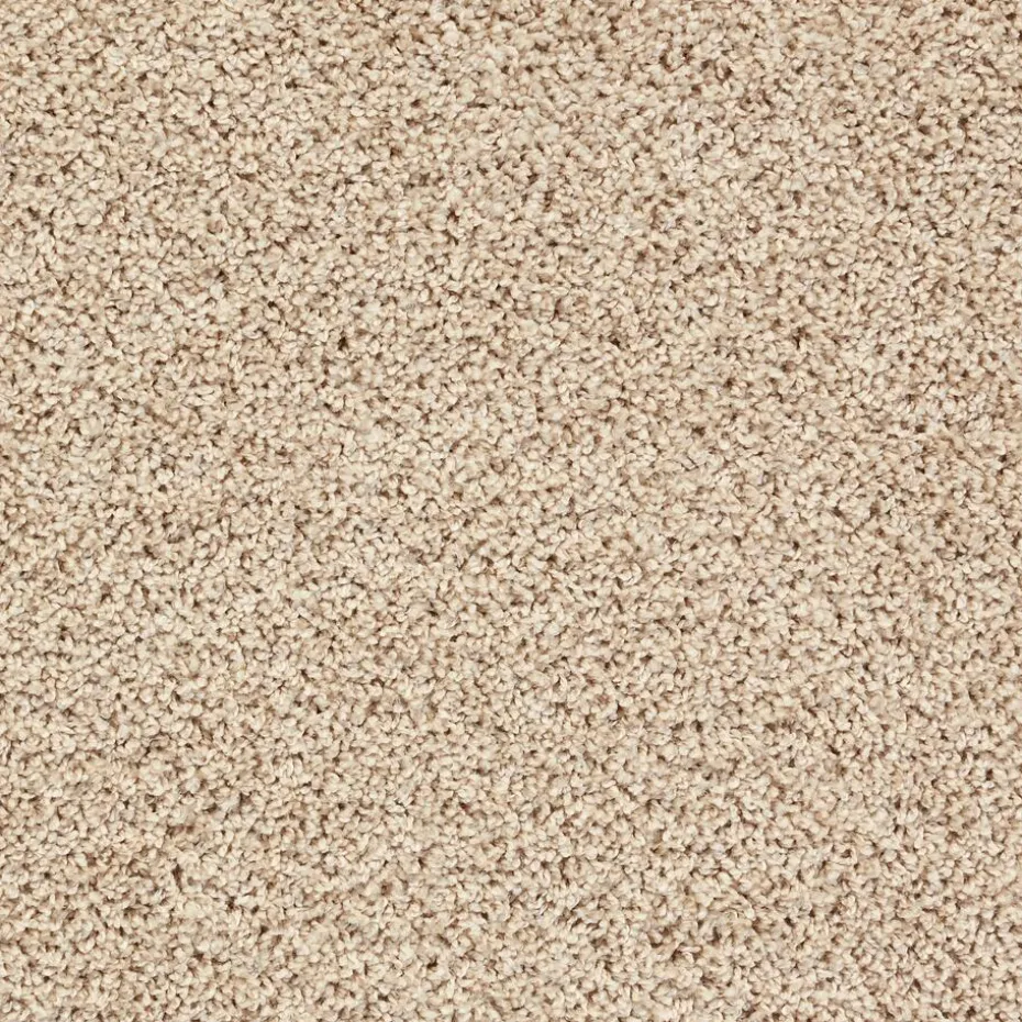 Tapijt Anamosa Beige