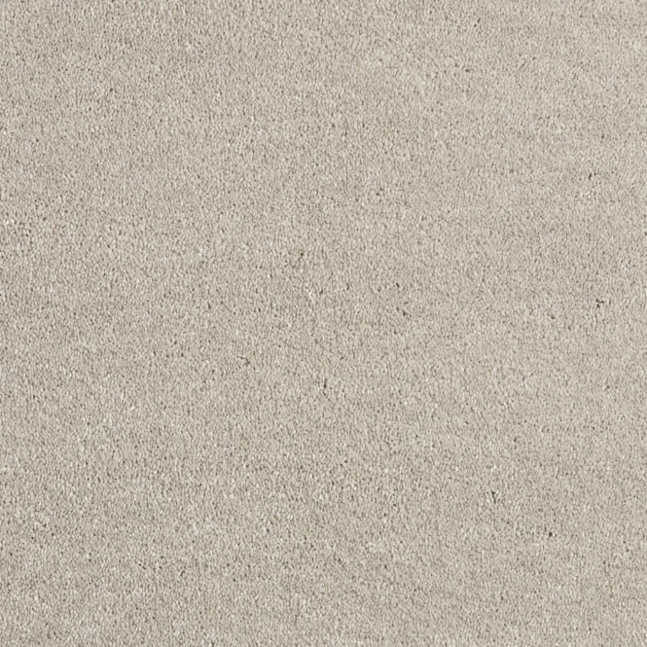 Tapijt Canora Beige